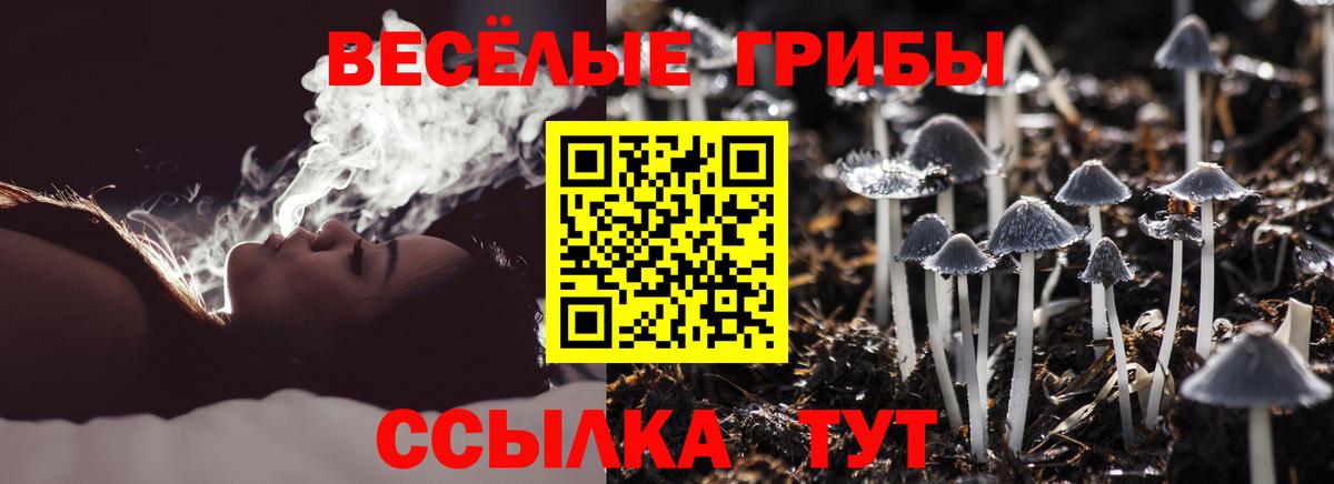 цена   Псилоцибиновые грибы Magic Shrooms  Вход с VPN  Набережные Челны 
